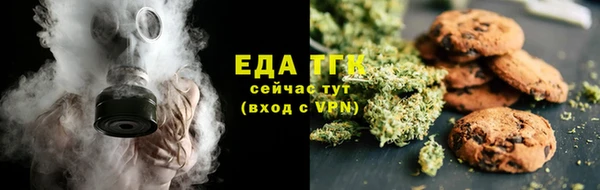 индика Нязепетровск