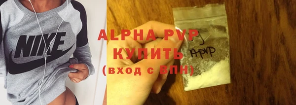 индика Нязепетровск