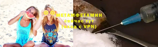 индика Нязепетровск