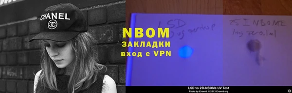 индика Нязепетровск