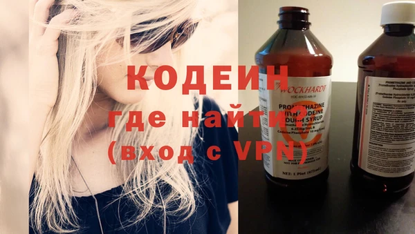 индика Нязепетровск