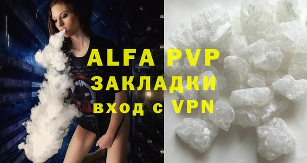 индика Нязепетровск