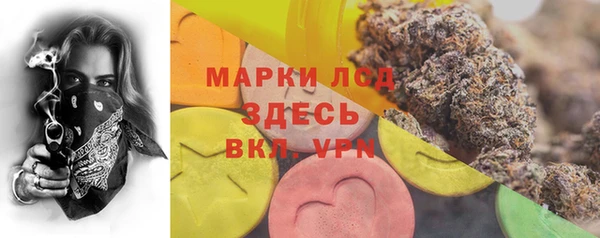 индика Нязепетровск